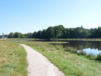 Holiday house Home in  the dancing forest - Environment photo 33