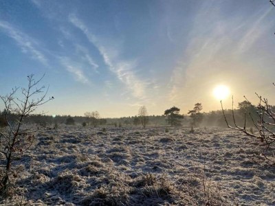 Holiday house Home in  the dancing forest - Environment photo 34