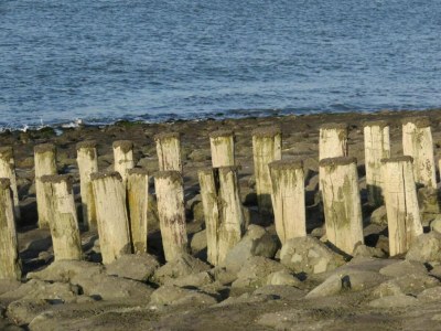 Holiday house Coastal Apartment in Westkapelle - Environment photo 27