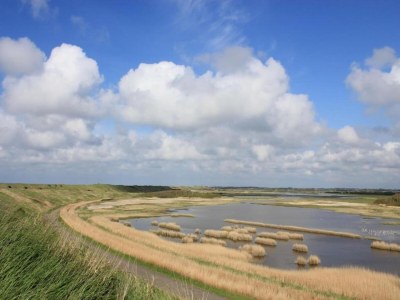 Holiday house Coastal Apartment in Westkapelle - Environment photo 37