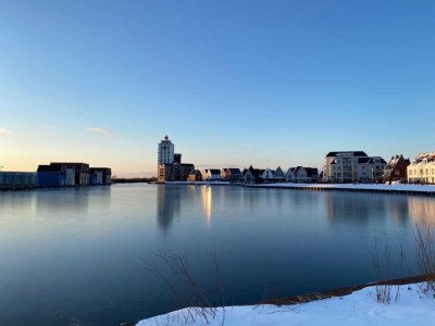 Chalet Holiday Home in Harderwijk near Veluwemeer - Environment photo 27