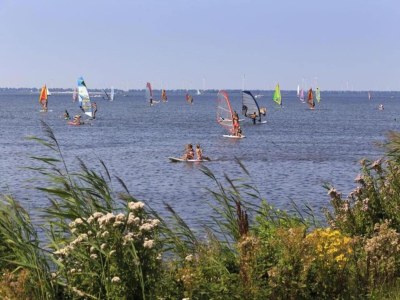 Chalet Holiday Home in Harderwijk near Veluwemeer - Environment photo 30