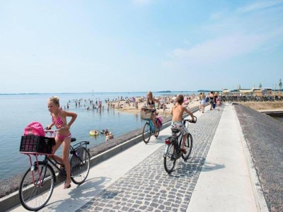 Chalet Holiday Home in Harderwijk near Veluwemeer - Environment photo 36