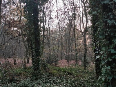 Holiday house Ferienhaus mit einer überdachten Terrasse - Environment photo 30