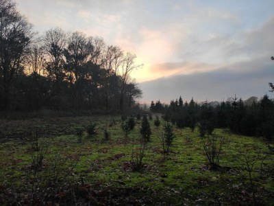 Holiday house Ferienhaus mit einer überdachten Terrasse - Environment photo 33