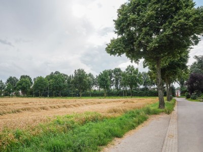 Bungalow Bungalow in Landgraaf mit Terrasse - Environment photo 29
