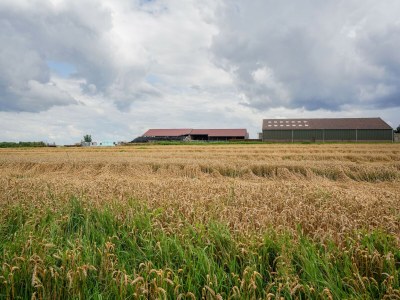 Bungalow Bungalow in Landgraaf mit Terrasse - Environment photo 30
