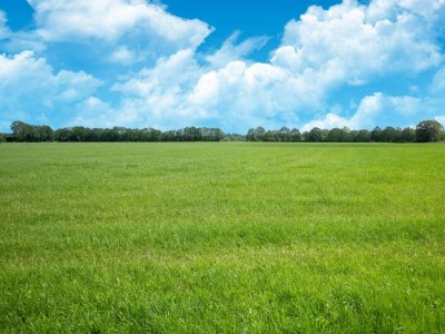 Chalet Chalet in Stegeren near Forest and Pond - Environment photo 36