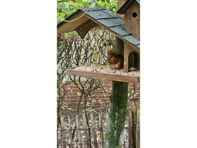 Chalet Chalet in Stegeren near Forest and Pond - Outdoor photo 38