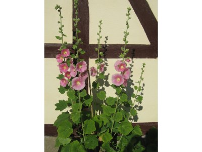 Holiday house Römerei - Outdoor photo 4