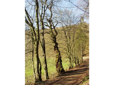 Holiday house Römerei - Environment photo 18