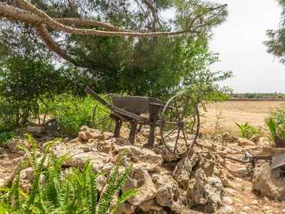 Villa Can Ribas - Outdoor photo 19