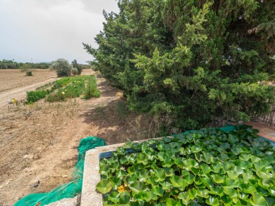 Villa Can Ribas - Outdoor photo 20