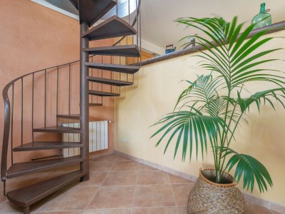 Villa Can Ribas - Features photo 37