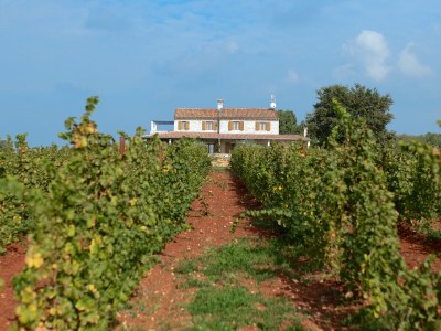 Villa Stancija Katarina di Maladel - Outdoor photo 9