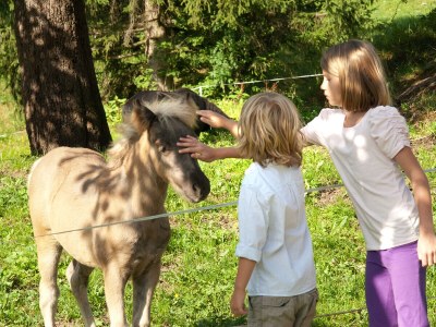 Holiday house Stumpfau - Environment photo 12