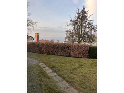 Holiday house Ruhe, Natur & Meerblick – Das Atelier in Lohme: Perfekt für Wanderer, Radfahrer & Golfer - Outdoor photo 5