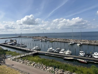 Holiday house Ruhe, Natur & Meerblick – Das Atelier in Lohme: Perfekt für Wanderer, Radfahrer & Golfer - Environment photo 18