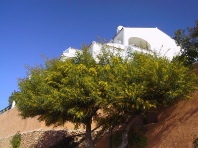 Apartment Latania - incredible 180° view - Outdoor photo 11