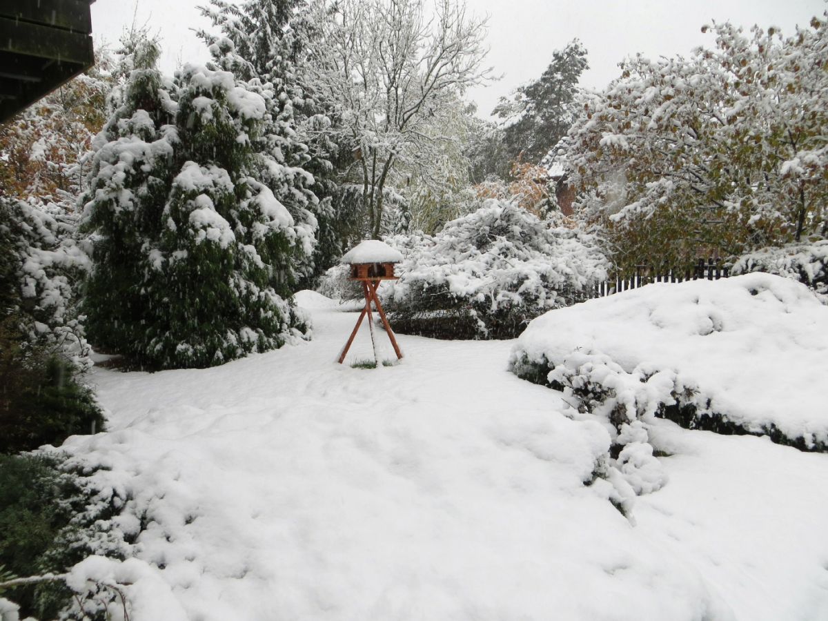 Holiday apartment Woodruff - Outdoor photo 4