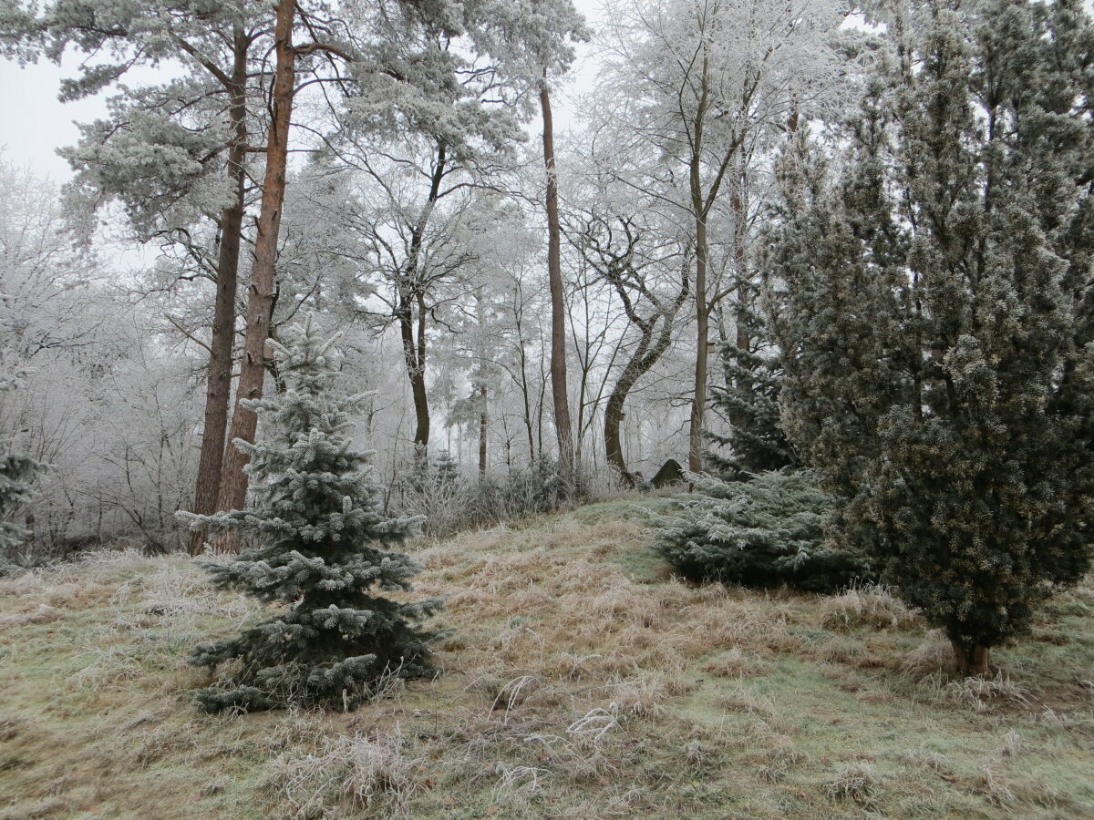 Holiday apartment Woodruff - Outdoor photo 5