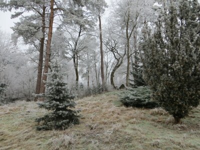 Holiday apartment Woodruff - Outdoor photo 5