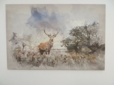 Holiday apartment Woodruff - Features photo 12