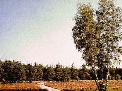 Holiday apartment Woodruff - Environment photo 22