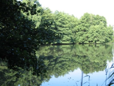 Holiday apartment Woodruff - Environment photo 23