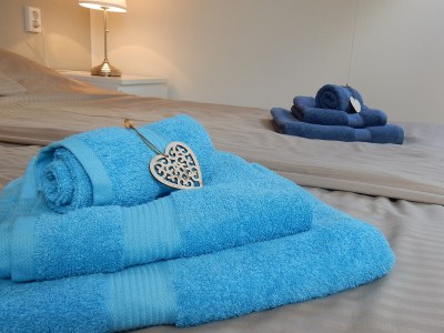 Holiday apartment De Duinroos - Features photo 12