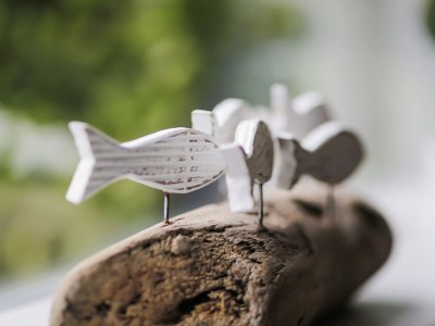 Holiday apartment De Duinroos - Features photo 13