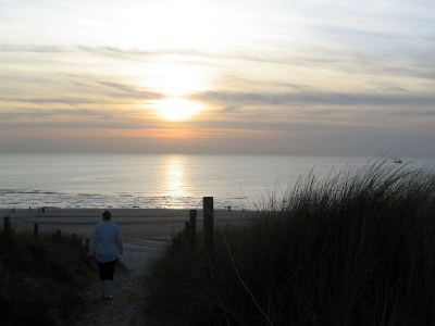 Holiday apartment De Duinroos - Environment photo 17