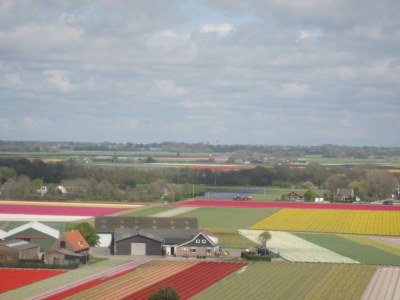 Holiday apartment De Duinroos - Environment photo 19