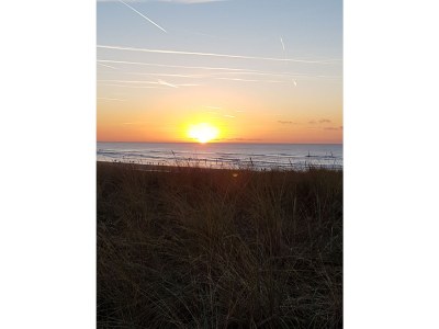 Holiday apartment De Duinroos - Environment photo 25