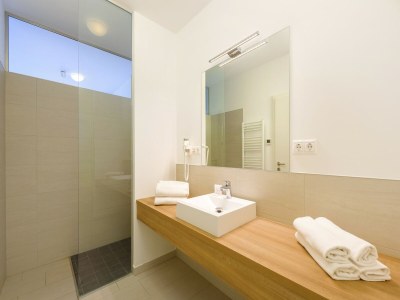 Apartment Apartment in Zsira near Thermal Spa - Features photo 12