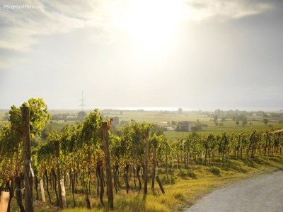 Apartment Apartment in Zsira near Thermal Spa - Environment photo 16