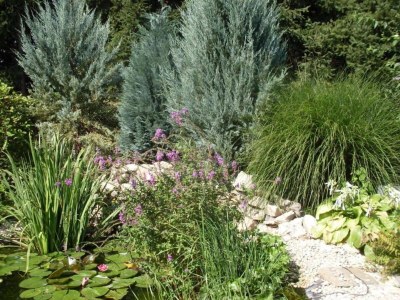 Apartment Apartment in Zsira near Thermal Spa - Environment photo 18