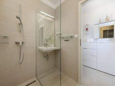 Apartment Heritage Apartment with Swimming Pond - Features photo 12