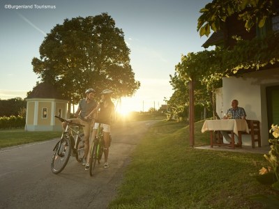 Apartment Heritage Apartment with Swimming Pond - Environment photo 17