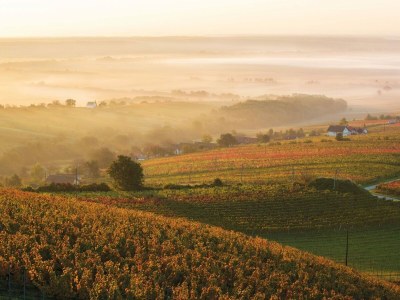 Apartment Apartment in Zsira near Thermal Spa - Environment photo 20