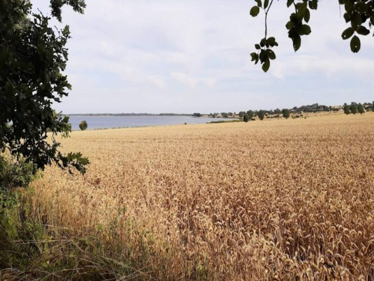 Holiday house 3 person holiday home in Ærøskøbing-By Traum - Outdoor photo 4