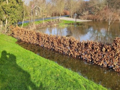 Holiday house 3 person holiday home in Ærøskøbing-By Traum - Outdoor photo 8