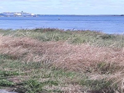 Holiday house 3 person holiday home in Ærøskøbing-By Traum - Outdoor photo 9