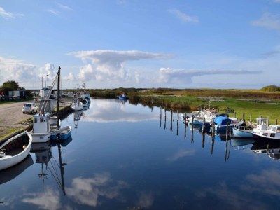 Holiday house 6 person holiday home in Dannemare-By Traum - Outdoor photo 21