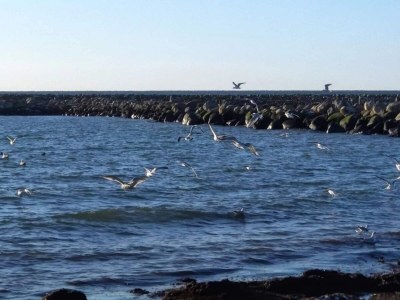 Holiday house 6 person holiday home in Dannemare-By Traum - Outdoor photo 40