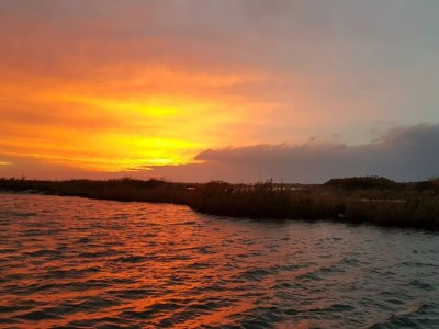 Holiday house 6 person holiday home in Dannemare-By Traum - Outdoor photo 42