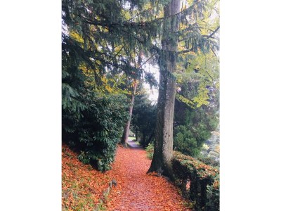 Holiday apartment Rooftop studio with open fireplace - Outdoor photo 14