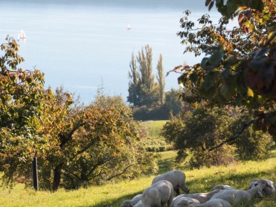 Holiday apartment Rooftop studio with open fireplace - Environment photo 32