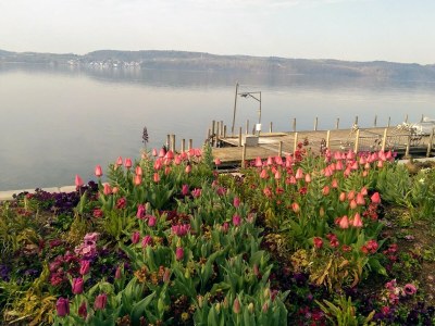 Holiday apartment Rooftop studio with open fireplace - Environment photo 34