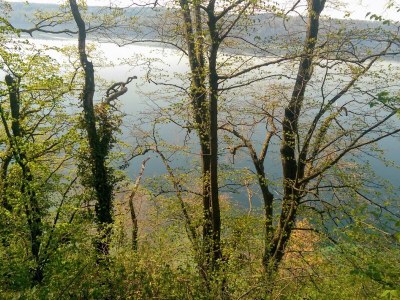 Holiday apartment Rooftop studio with open fireplace - Environment photo 36